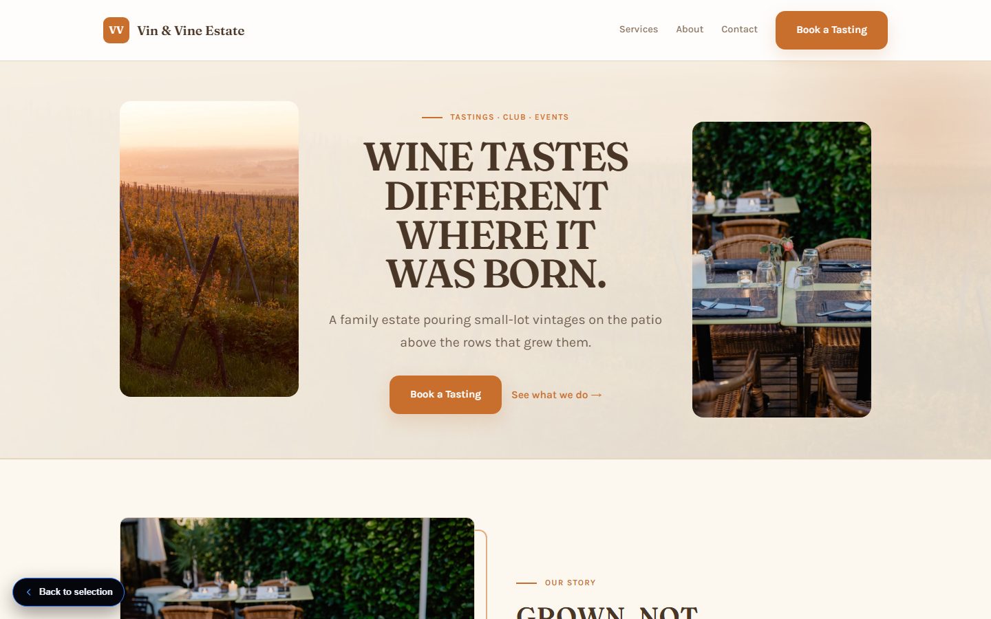 Vin & Vine website