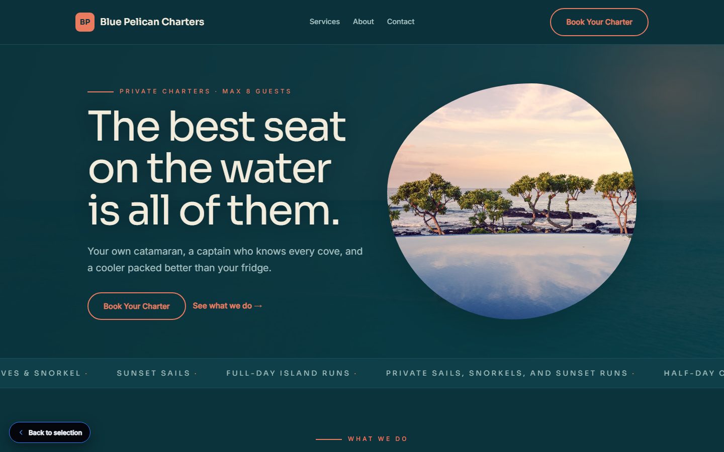 Blue Pelican Charters website